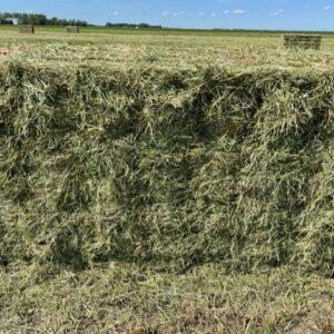 Small Square Hay Bales Bundled